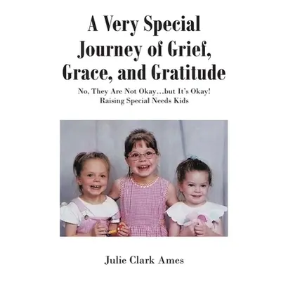 "A Very Special Journey of Grief, Grace, and Gratitude: No, They Are Not Okay...but It's Okay! R