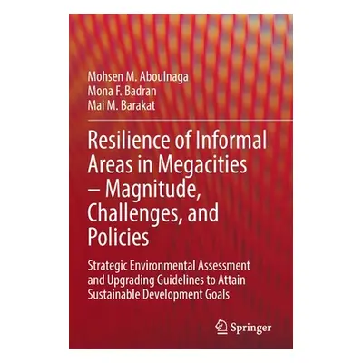 "Resilience of Informal Areas in Megacities - Magnitude, Challenges, and Policies: Strategic Env