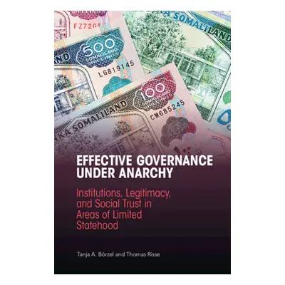 "Effective Governance Under Anarchy: Institutions, Legitimacy, and Social Trust in Areas of Limi