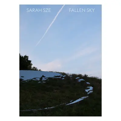 "Sarah Sze: Fallen Sky" - "" ("Sze Sarah")