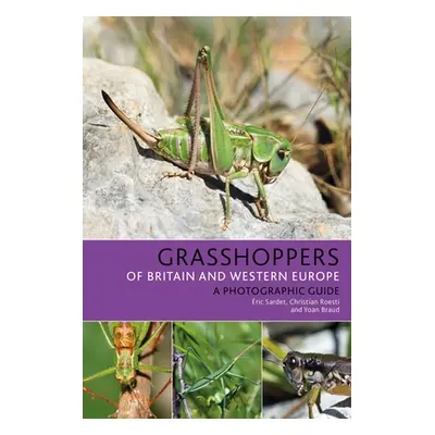 "Grasshoppers of Britain and Western Europe: A Photographic Guide" - "" ("Sardet ric")