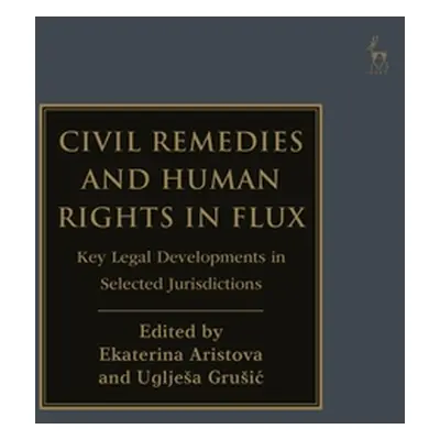 "Civil Remedies and Human Rights in Flux: Key Legal Developments in Selected Jurisdictions" - ""