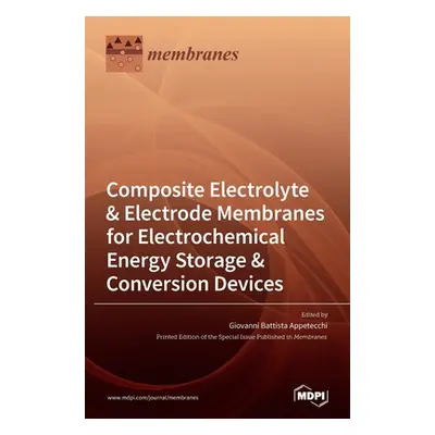 "Composite Electrolyte & Electrode Membranes for Electrochemical Energy Storage & Conversion Dev