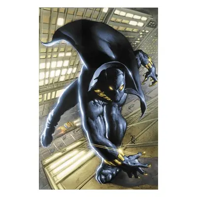 "Black Panther by Christopher Priest Omnibus Vol. 1" - "" ("Priest Christopher")