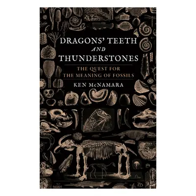 "Dragons' Teeth and Thunderstones: The Quest for the Meaning of Fossils" - "" ("McNamara Ken")