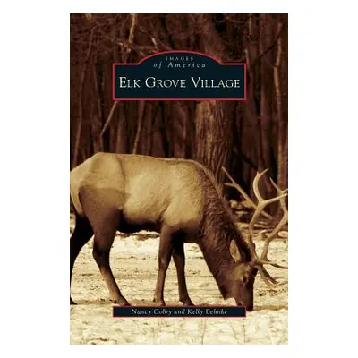 "Elk Grove Village" - "" ("Colby Nancy")