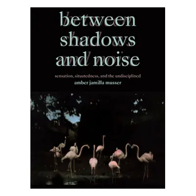 "Between Shadows and Noise: Sensation, Situatedness, and the Undisciplined" - "" ("Musser Amber 