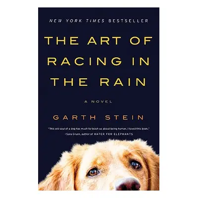 "The Art of Racing in the Rain" - "" ("Stein Garth")