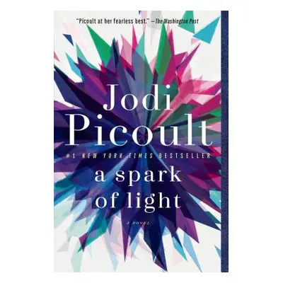 A Spark of Light (Picoult Jodi)