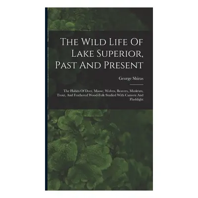 "The Wild Life Of Lake Superior, Past And Present: The Habits Of Deer, Moose, Wolves, Beavers, M