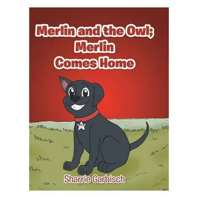 "Merlin and the Owl: Merlin Comes Home" - "" ("Garbisch Sharrie")