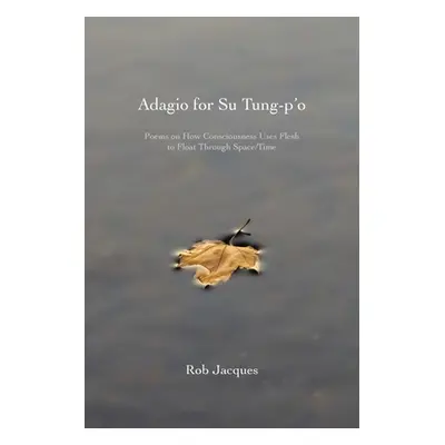 "Adagio for Su Tung-p'o: Poems on How Consciousness Uses Flesh to Float Through Space/Time" - ""