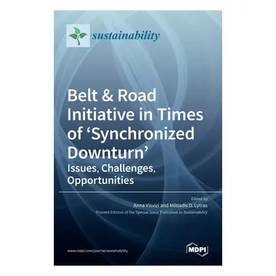 "Belt & Road Initiative in Times of 'Synchronized Downturn': Issues, Challenges, Opportunities" 