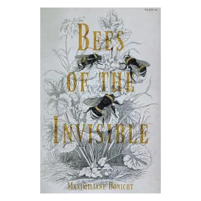 "Bees of the Invisible" - "" ("Donicht Maximiliane")