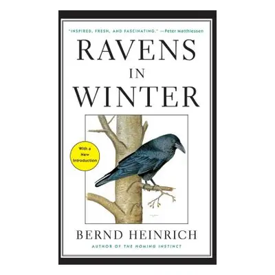 "Ravens in Winter" - "" ("Heinrich Bernd")