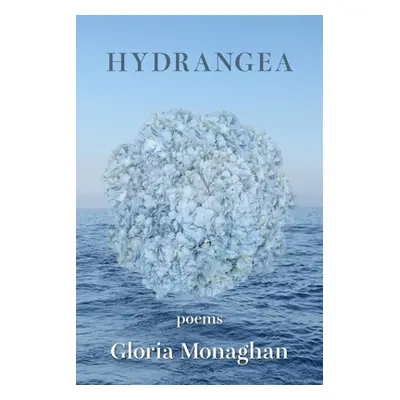 "Hydrangea" - "" ("Monaghan Gloria")