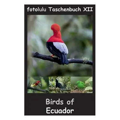 "Birds of Ecuador: fotolulu Taschenbuch XII" - "" ("Fotolulu")