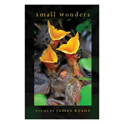 "Small Wonders" - "" ("Keane James")