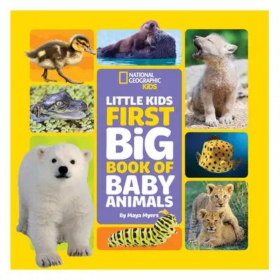 "Little Kids First Big Book of Baby Animals" - "" ("Myers Maya")