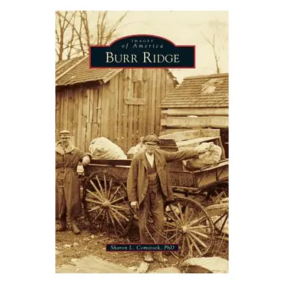 "Burr Ridge" - "" ("Comstock Ph. D. Sharon L.")