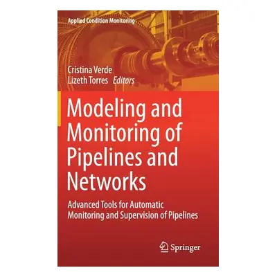 "Modeling and Monitoring of Pipelines and Networks: Advanced Tools for Automatic Monitoring and 