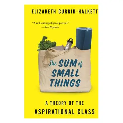 "The Sum of Small Things: A Theory of the Aspirational Class" - "" ("Currid-Halkett Elizabeth")