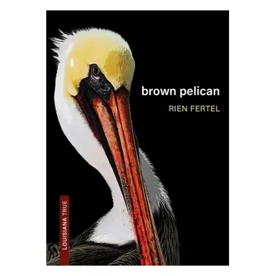 "Brown Pelican" - "" ("Fertel Rien")