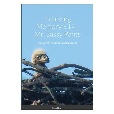 "In Loving Memory E14 - Mr. Sassy Pants: Southwest Florida's Harriet and M15" - "" ("Lord Marti"