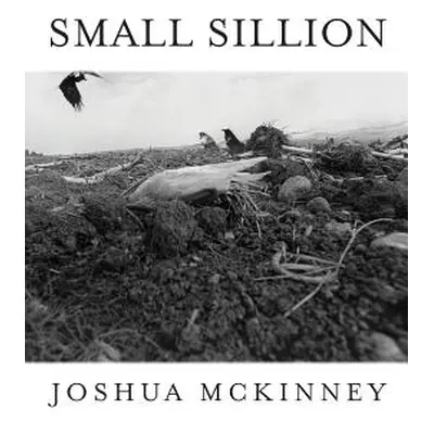 "Small Sillion" - "" ("McKinney Joshua")