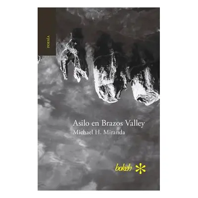 "Asilo en Brazos Valley" - "" ("Miranda Michael H.")