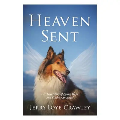 "Heaven Sent: A True Story of Losing Hope and Finding an Angel" - "" ("Crawley Jerry Loye")