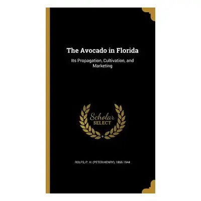 "The Avocado in Florida" - "" ("Rolfs P. H. (Peter Henry) 1865-1944")