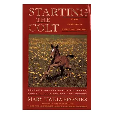 "Starting the Colt" - "" ("Twelveponies Mary")