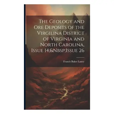 "The Geology and Ore Deposits of the Virgilina District of Virginia and North Carolina, Issue 14