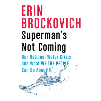 Superman's Not Coming: Our National Water Crisis and What We the People Can Do about It (Brockov