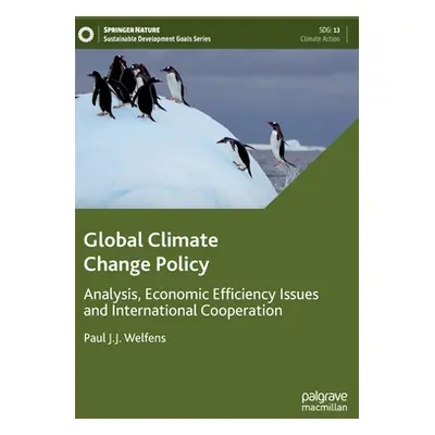 "Global Climate Change Policy: Analysis, Economic Efficiency Issues and International Cooperatio