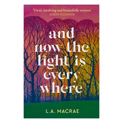 And Now the Light is Everywhere - A stunning debut novel of family secrets and redemption (MacRa