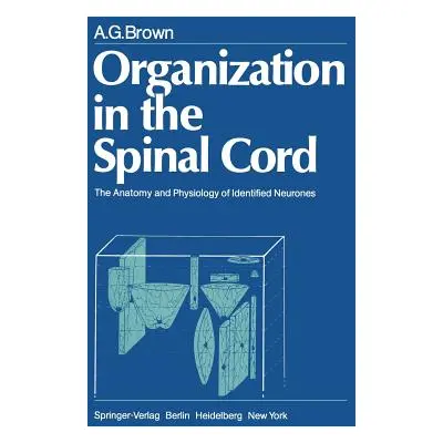 "Organization in the Spinal Cord: The Anatomy and Physiology of Identified Neurones" - "" ("Brow