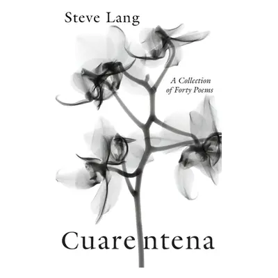 "Cuarentena" - "" ("Lang Steve")