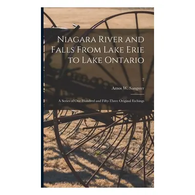 "Niagara River and Falls From Lake Erie to Lake Ontario: a Series of One Hundred and Fifty-three