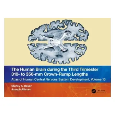 "The Human Brain During the Third Trimester 310- To 350-MM Crown-Rump Lengths: Atlas of Central 