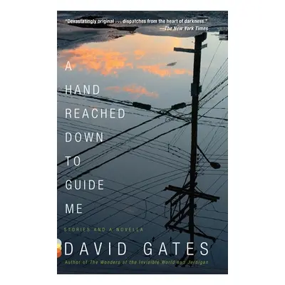 "A Hand Reached Down to Guide Me: Stories and a Novella" - "" ("Gates David")