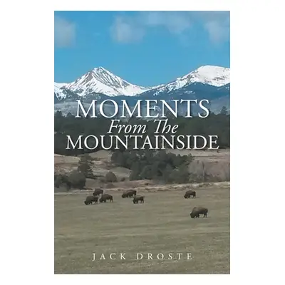 "Moments From The Mountainside" - "" ("Droste Jack")