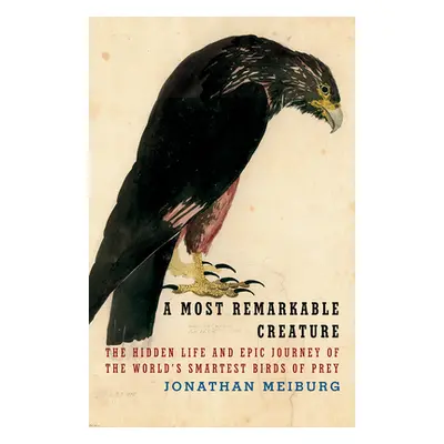 "A Most Remarkable Creature: The Hidden Life of the World's Smartest Birds of Prey" - "" ("Meibu