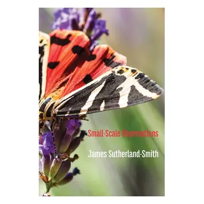 Small-Scale Observations (Sutherland-Smith James)