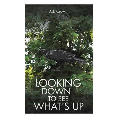 "Looking Down to See What's Up" - "" ("Crow A. J.")