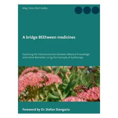 "A bridge BEEtween medicines: Exploring the Interconnection between Medical Knowledge and Home R