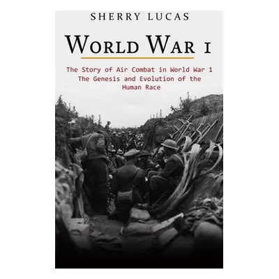 "World War 1: The Story of Air Combat in World War 1 (WWI True Story of Smuggling Guns to the Ir