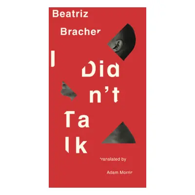 I Didn't Talk (Bracher Beatriz)