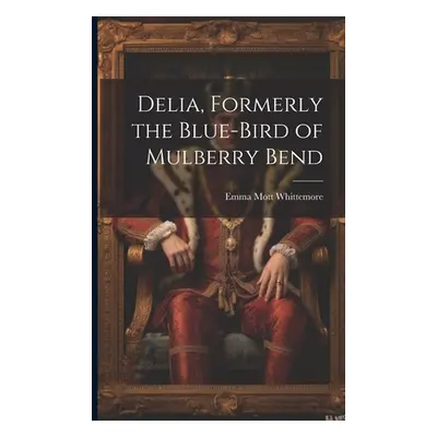 "Delia, Formerly the Blue-Bird of Mulberry Bend" - "" ("Whittemore Emma Mott")